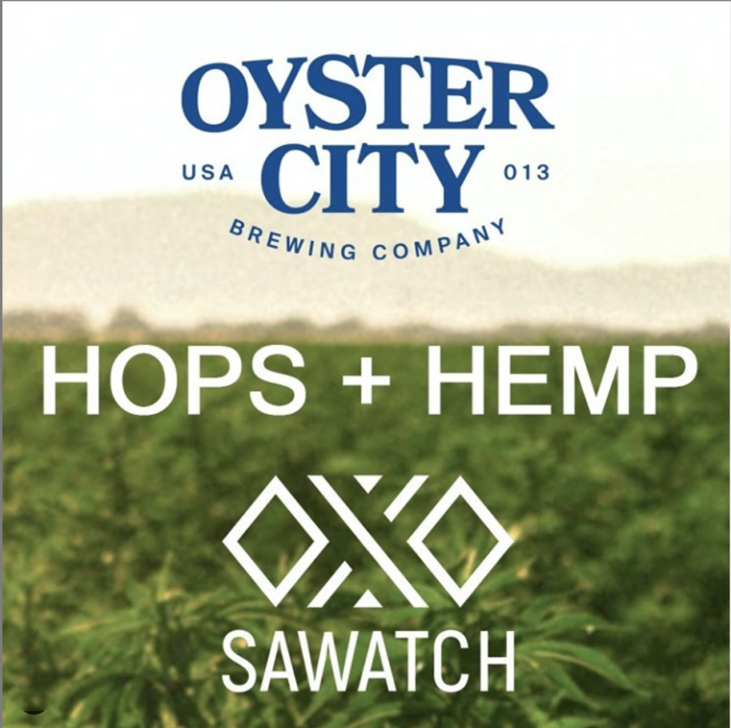 Oyster City Brewing soon to brew with CBD
